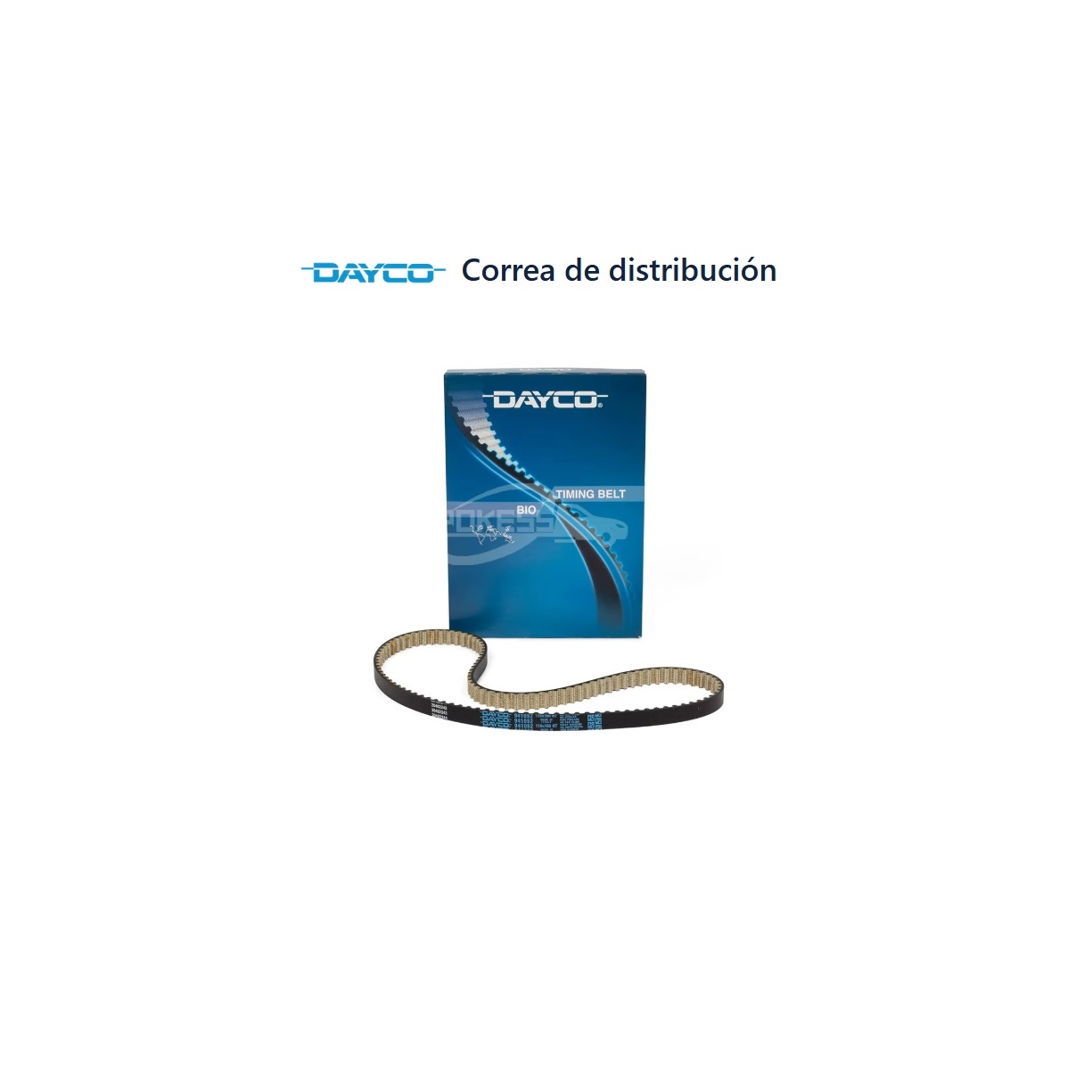 Correa distribución Húmeda Ford Ecosport 1.5